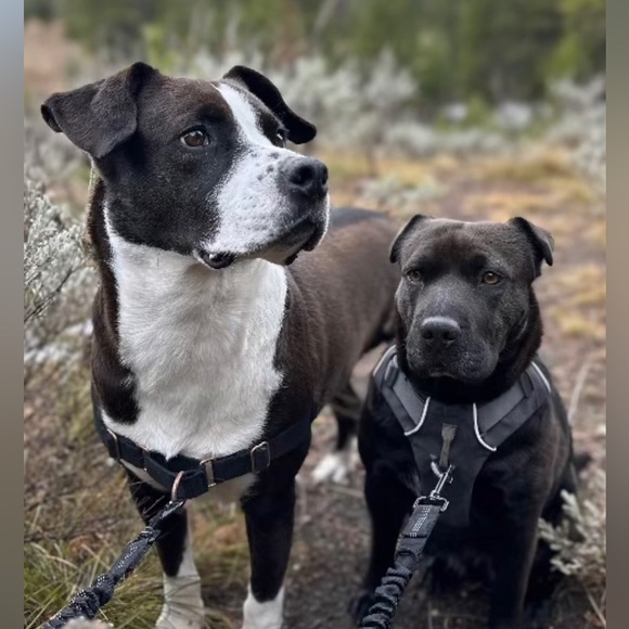 WELCOME to my closet! About me: - Picture 4 of 15